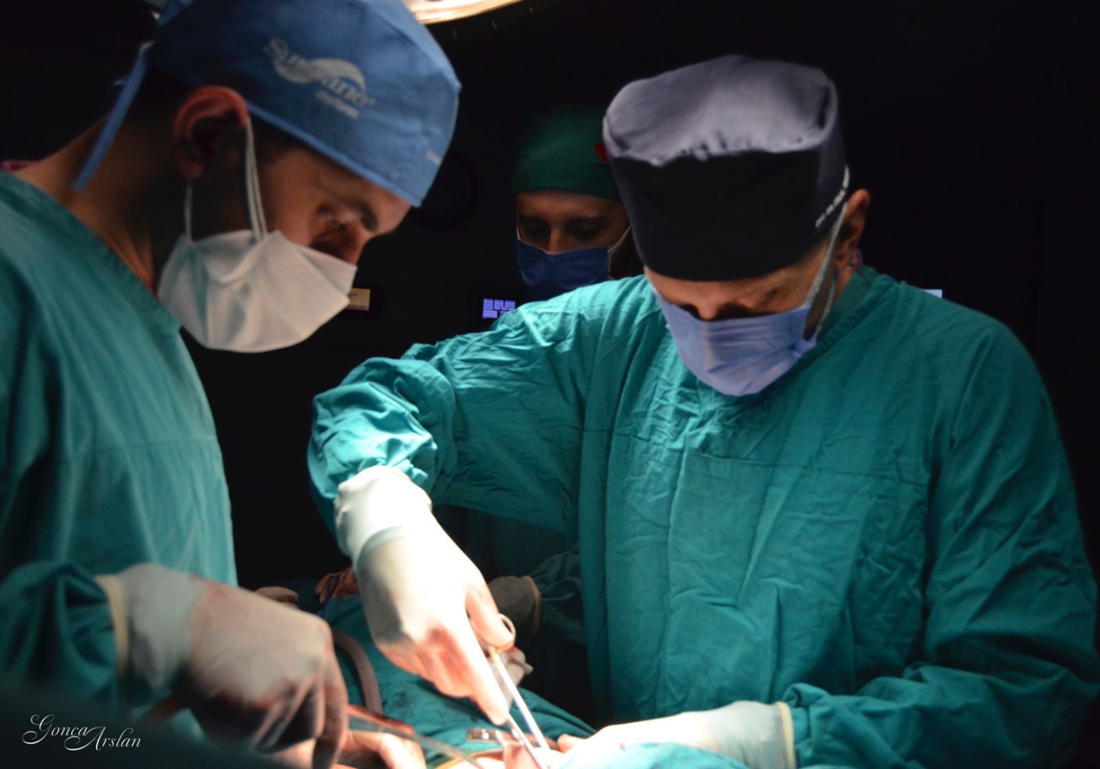 Bir Hayatlık Dokunuş